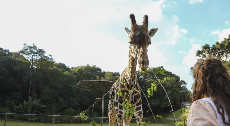 Zoológico Municipal de Curitiba