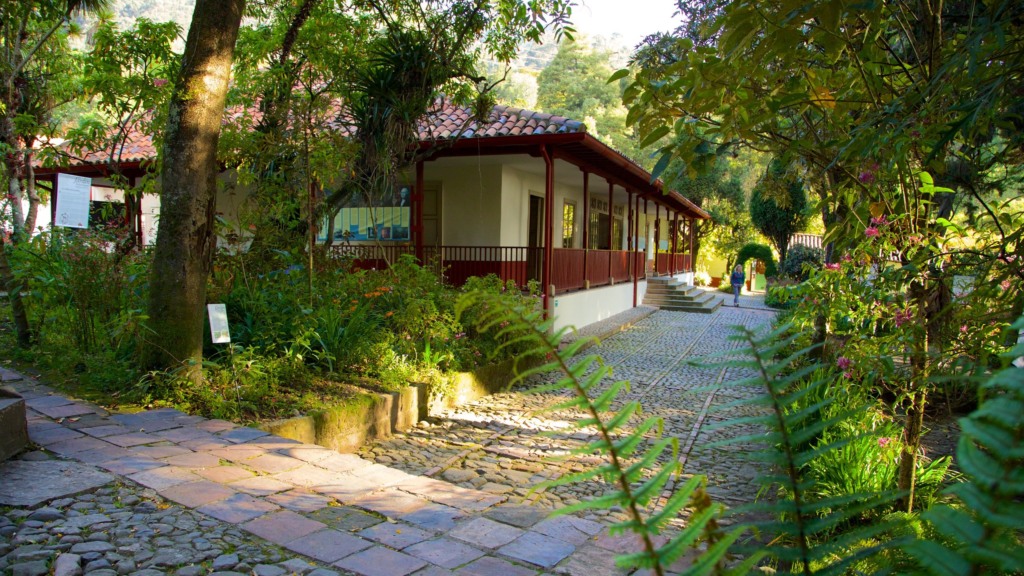 Casa Museu Quinta de Bolívar