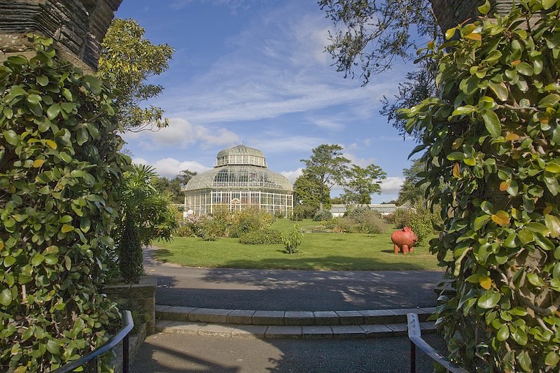 Explorar o Jardim Botânico Nacional em Dublin
