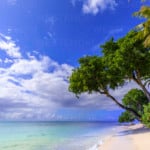 Paynes Bay, overhanging trees, fine pale pink sand beach, turquoise sea, beautiful West Coast, Barbados, Windward Islands, West Indies, Caribbean, Central America
