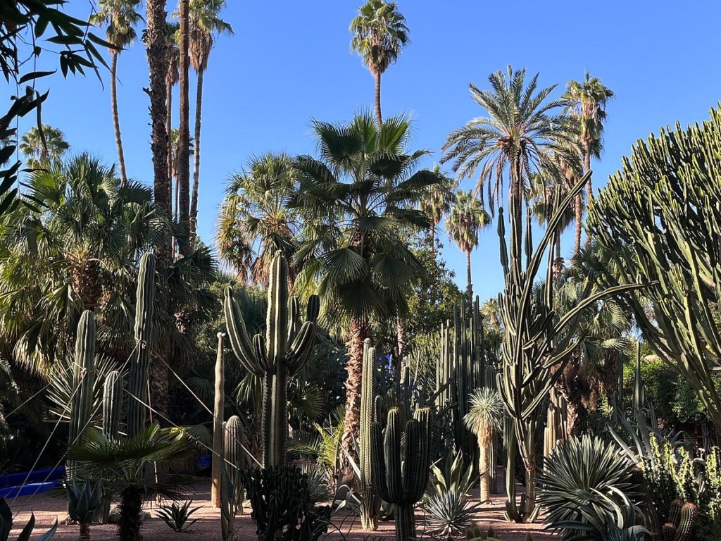 Jardim Majorelle