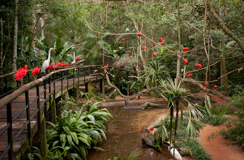 Parque das Aves, em Foz do Iguaçu