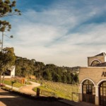 Excursão à Vinícola Araucária em Curitiba