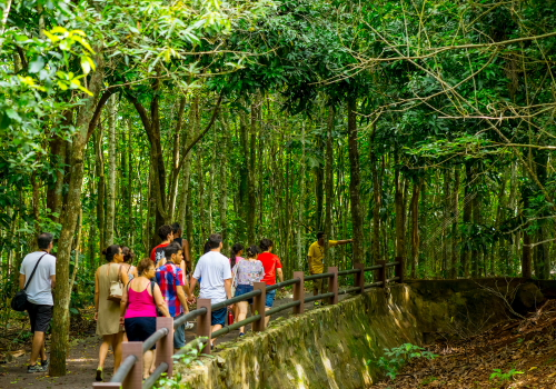 Refúgio Biológico de Itaipu