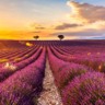 Valensole na Costa Azul na França