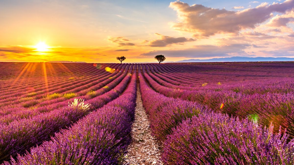 Valensole na Costa Azul na França