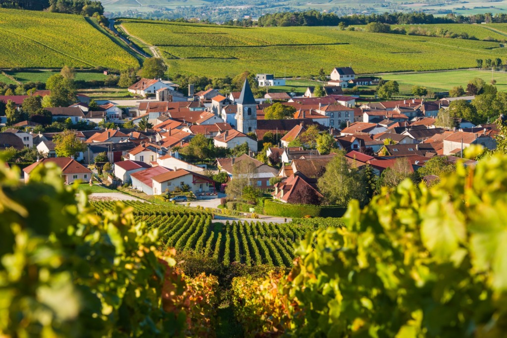 Vinícolas em Champagne na França