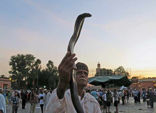 Encantador de cobras