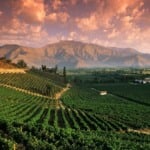 Roteiro de viagem: Buenos Aires e Mendoza Roteiro de viagem: Buenos Aires e Mendoza