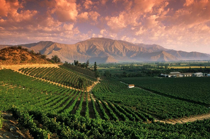 Mendoza em maio: Como é o clima e o que fazer!