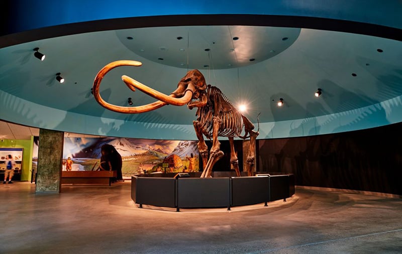 Museu de História Natural de Las Vegas