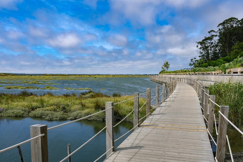 Passadiços de Aveiro