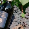 Vinho Brunello di Montalcino