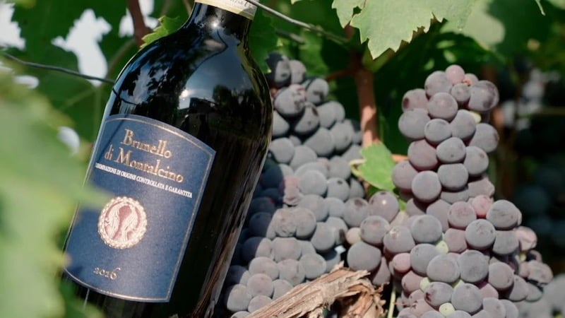 Vinho Brunello di Montalcino