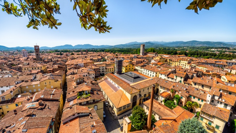 Vista da cidade de Lucca do topo da Torre de Guinigi