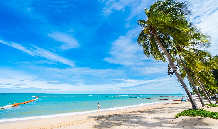 Visual paradisíaco de Punta Cana