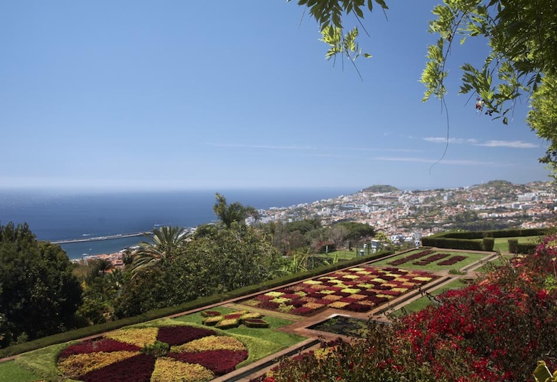 Jardim Botânico na Madeira