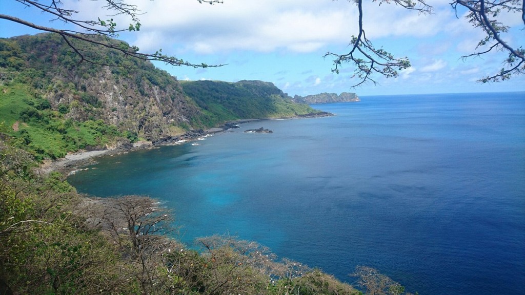 Baía dos Golfinhos