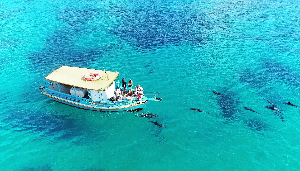 Passeio de barco em Fernando de Noronha