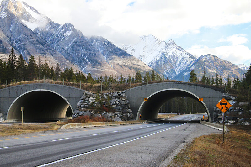 Estradas canadenses em Banff