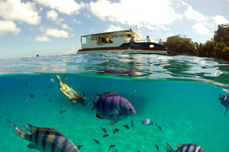 Passeio de barco em Fernando de Noronha