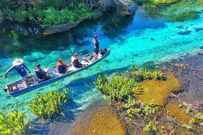 Passeio de barco pelo Rio Sucuri