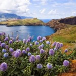 Quais são os meses de alta e baixa temporada na Ilha da Madeira?