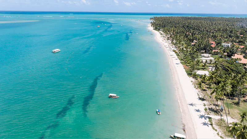 Praia dos Carneiros