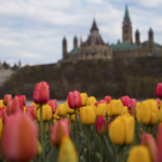 Como é o clima e temperatura no Canadá