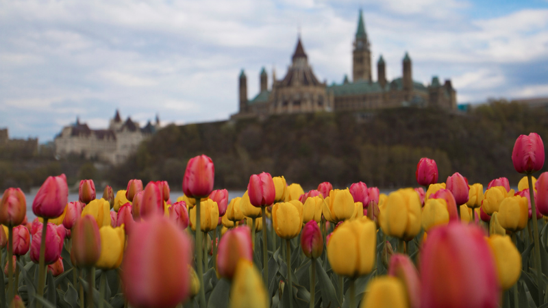 Primavera na cidade de Ottawa