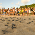 4 passeios gratuitos em Fernando de Noronha