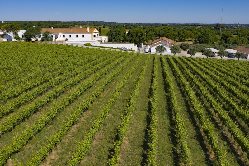 Roteiro pelas vinícolas de Portugal