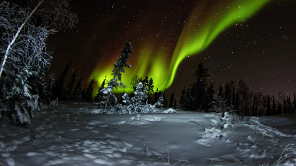 Aurora Boreal e neve em Yellowknife