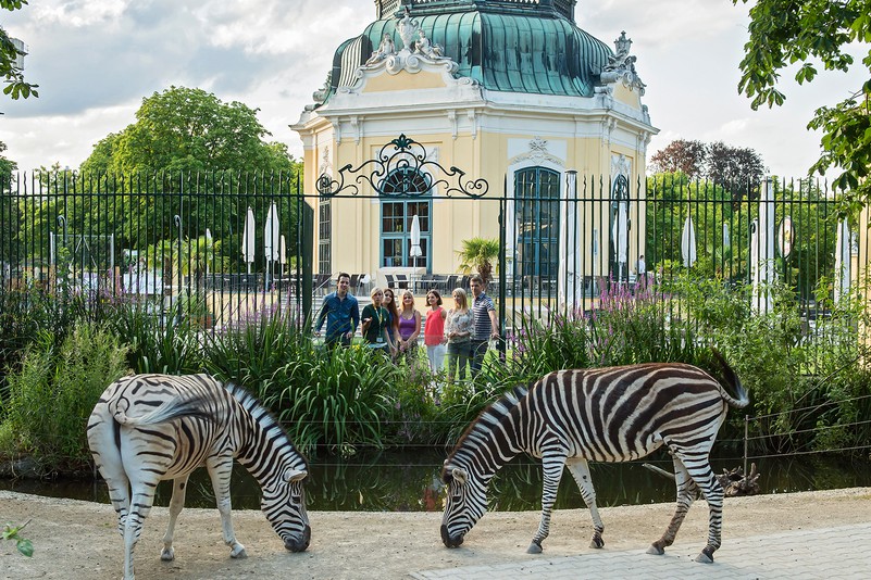 Zoo de Schonbrunn