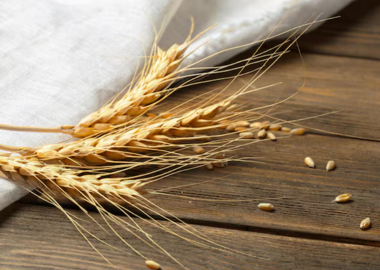 Talos de trigo na mesa