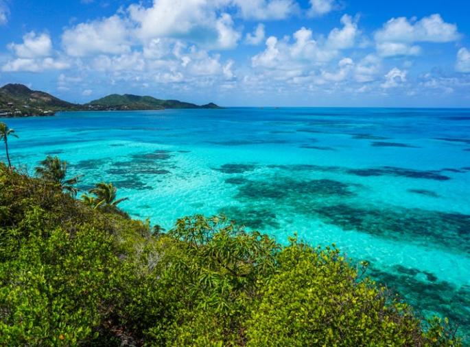 Passeio por Cayo Cangrejo