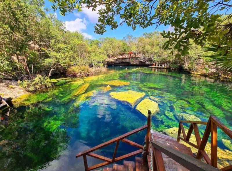 Jardin del Eden Cenote