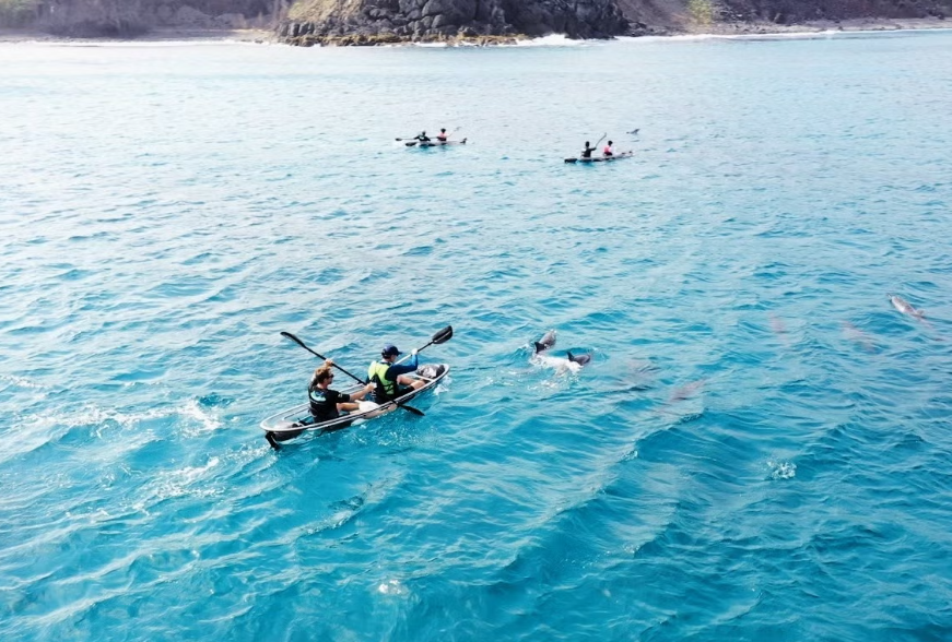 Passeio de caiaque transparente em Fernando de Noronha