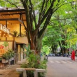 Quanto custa viajar para Medellín