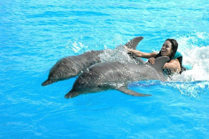 Como nadar com os golfinhos em Cancún