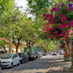 Onde ficar em Campos do Jordão? Melhor bairro e hotéis