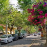 Onde ficar em Campos do Jordão? Melhor bairro e hotéis