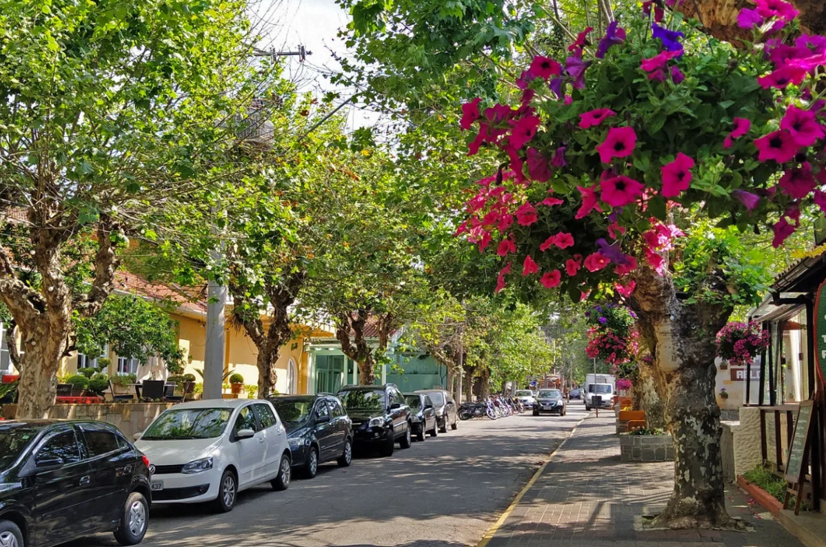 Onde ficar em Campos do Jordão? Melhor bairro e hotéis