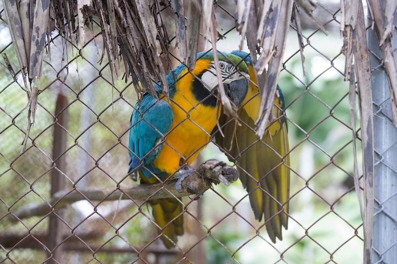 Zoológico Sargento Prata