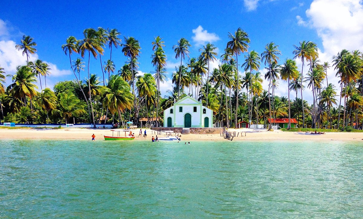 Excursão à Praia dos Carneiros saindo de Maragogi