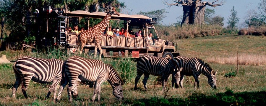 Kilimanjaro Safaris no Animal Kingdom da Disney Orlando