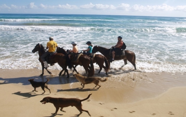 Ingresso do passeio a cavalo pela praia Uvero Alto