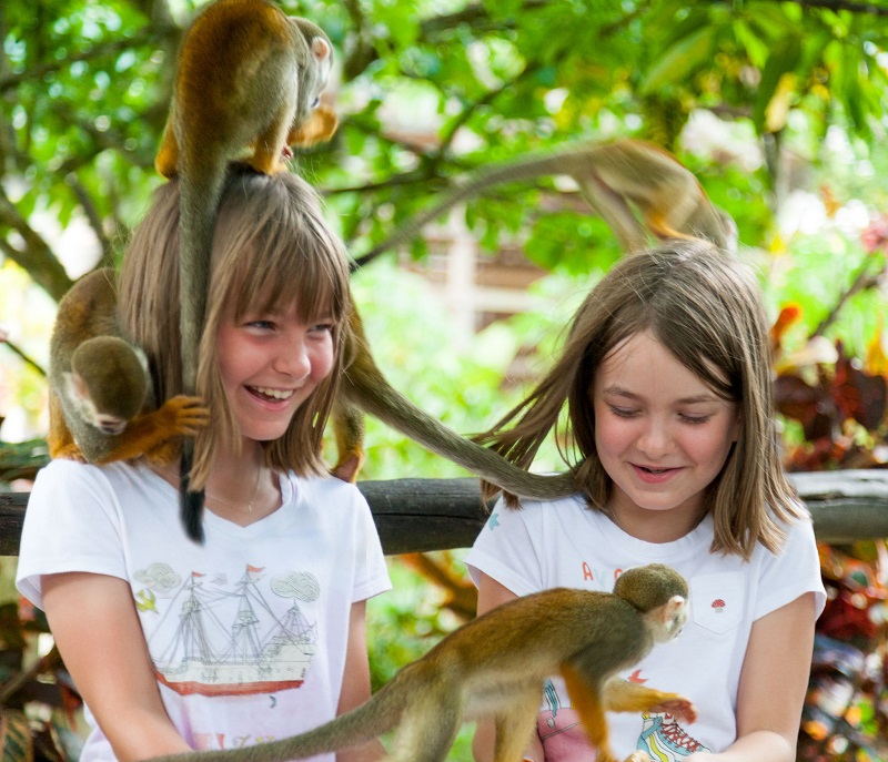 Crianças brincando com os macacos na Monkeyland
