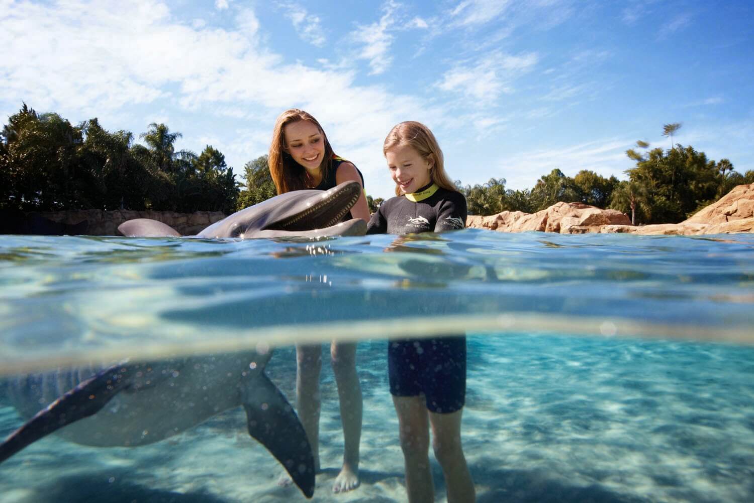 Onde nadar e interagir com golfinhos em Orlando?