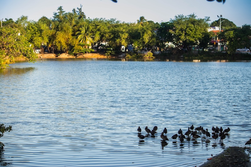 Passeio no Lago Jacarey em Fortaleza